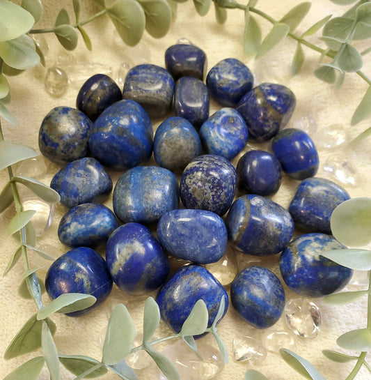 Blue Lapis Lazuli Tumbles 0.75" - 0.99" (0051)