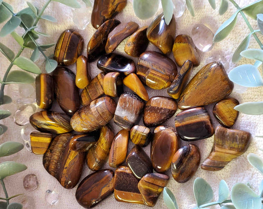 Tiger Eye Tumbles, Medium 0.75" - 0.99" (0056)