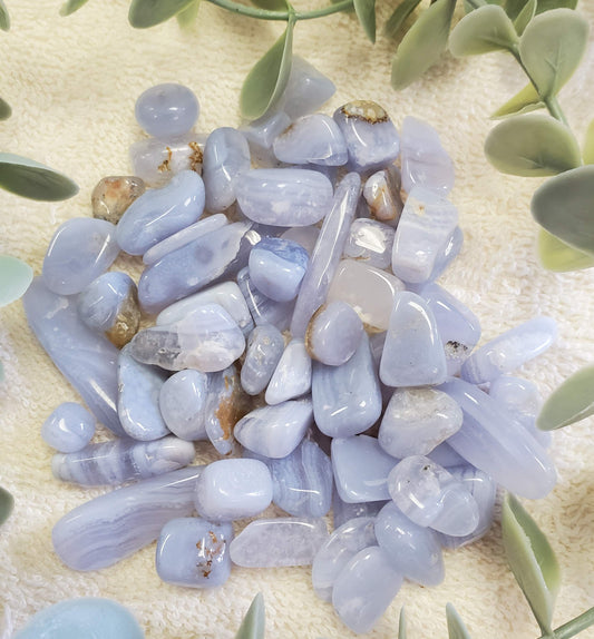 100g Small to medium Blue Lace Agate Tumbles (0073)