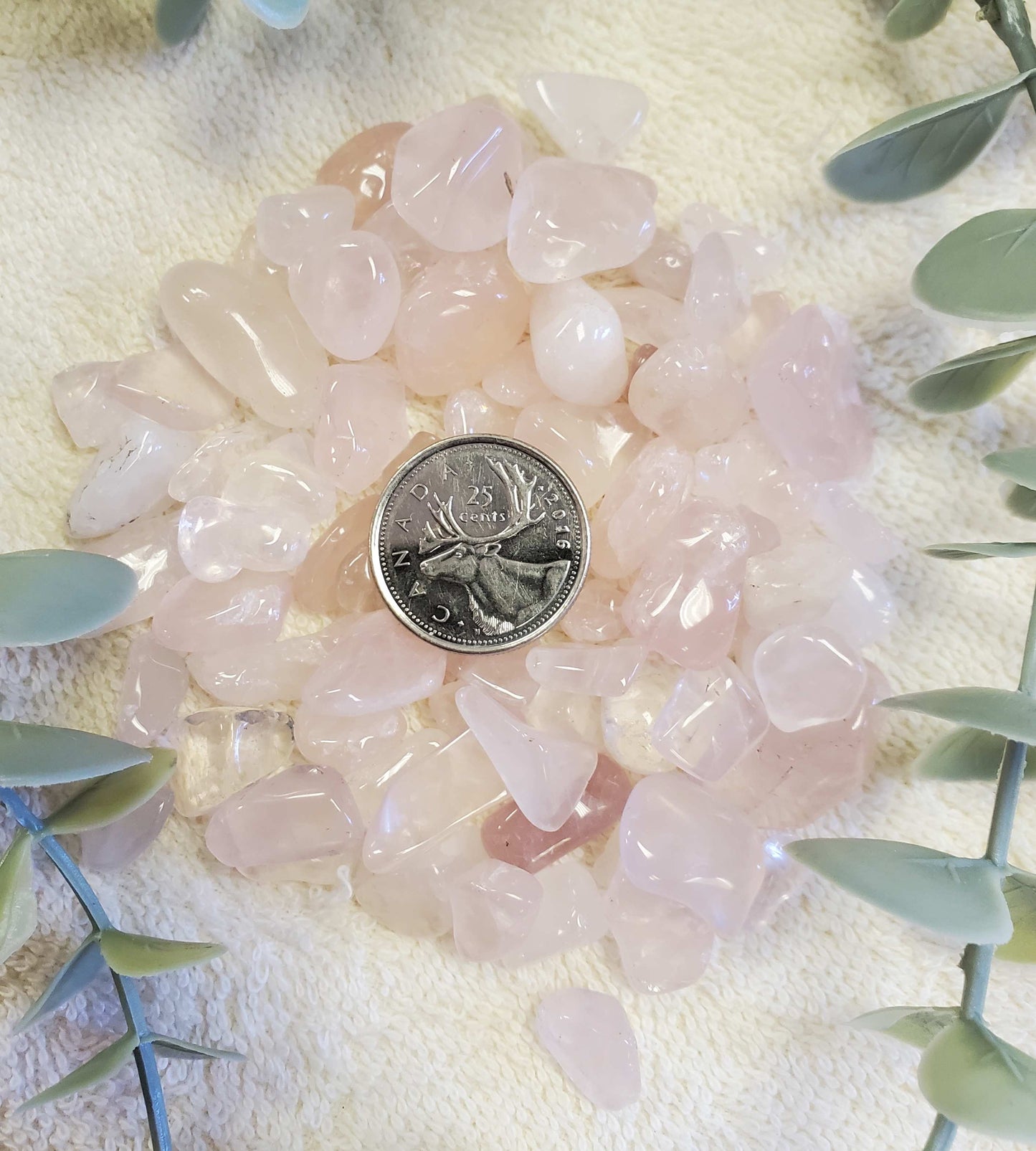 100g Small - Medium Rose Quartz tumbles (0078)