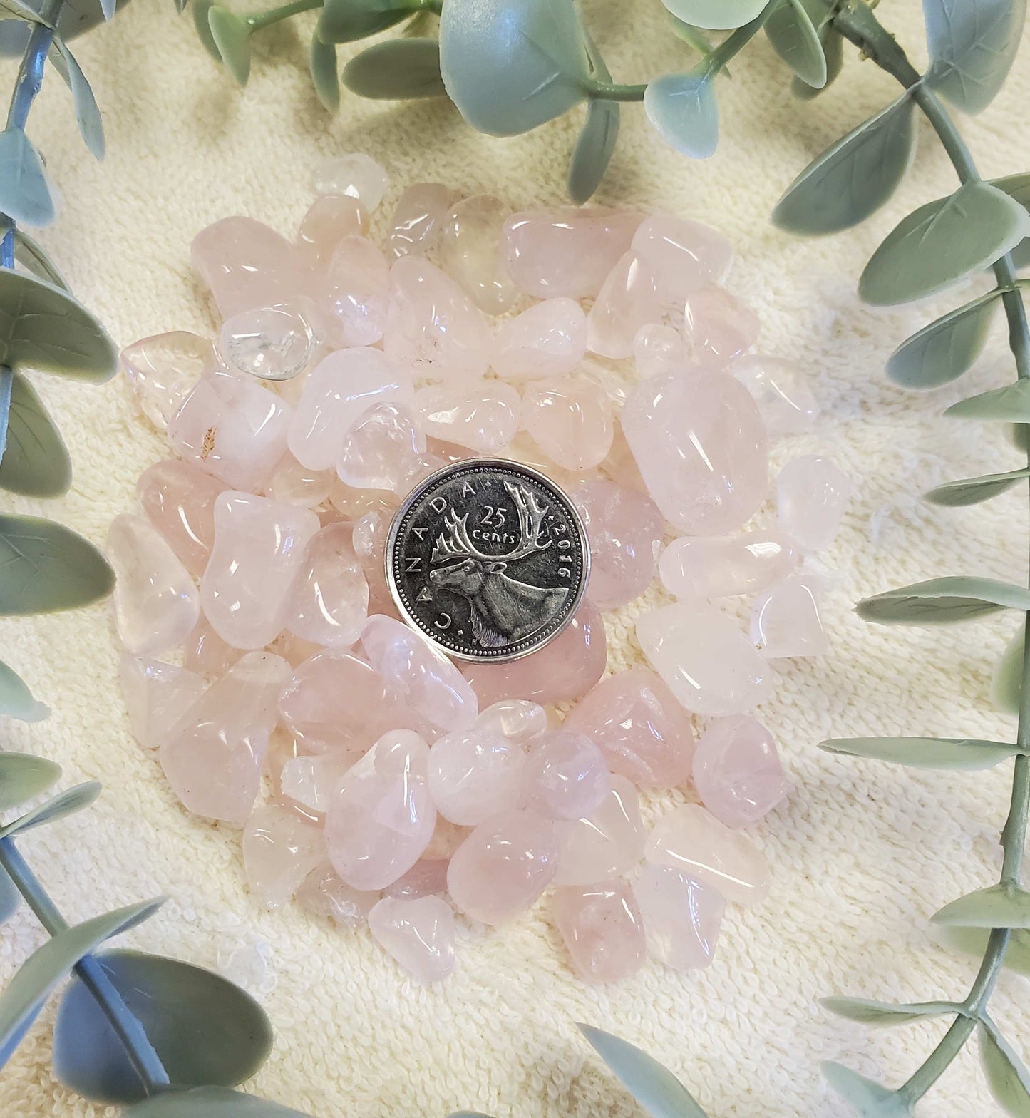 100g Small - Medium Rose Quartz tumbles (0079)