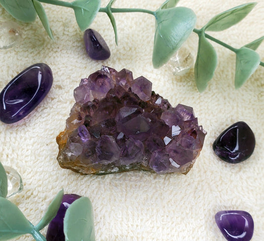 Amethyst Cluster (0088)